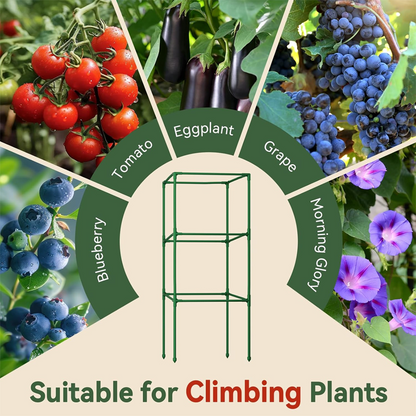 Modular Plant Support Frame