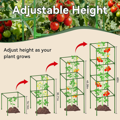 Modular Plant Support Frame